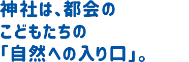 神社は、都会のこどもたちの「自然への入り口」。